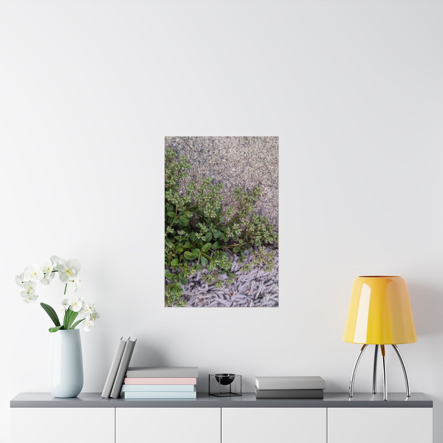 Where the Allseed Grows Poster – Urban Nature Minimalist Wall Art with Concrete Texture and Botanical Contrast