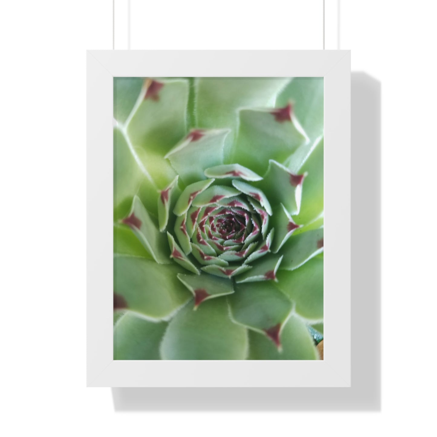 Pale Green Spiky Succulent Framed Print – Minimalist Botanical Wall Art for Desert-Inspired Interiors