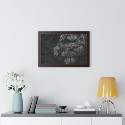 Geranium After a Light Rain Framed Print – Moody Botanical Floral Art, Monochrome Nature-Inspired Wall Decor