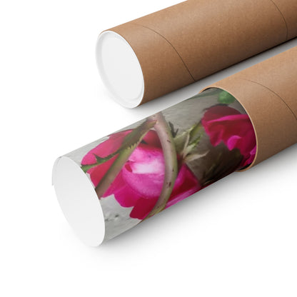 Bougainvillea Against White Stucco Wall Poster – Vibrant Floral Photography Wall Art