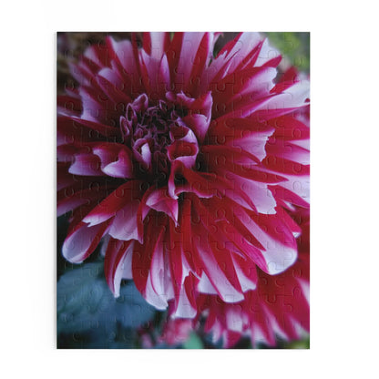 Red and White Dahlia Puzzle – Botanical Floral Jigsaw for Adults, Cottagecore Garden-Inspired Game Night Gift