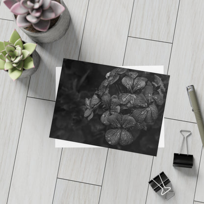 Geranium After a Light Rain Postcard – Moody Botanical Photography, Monochrome Floral Stationery for Thoughtful Correspondence