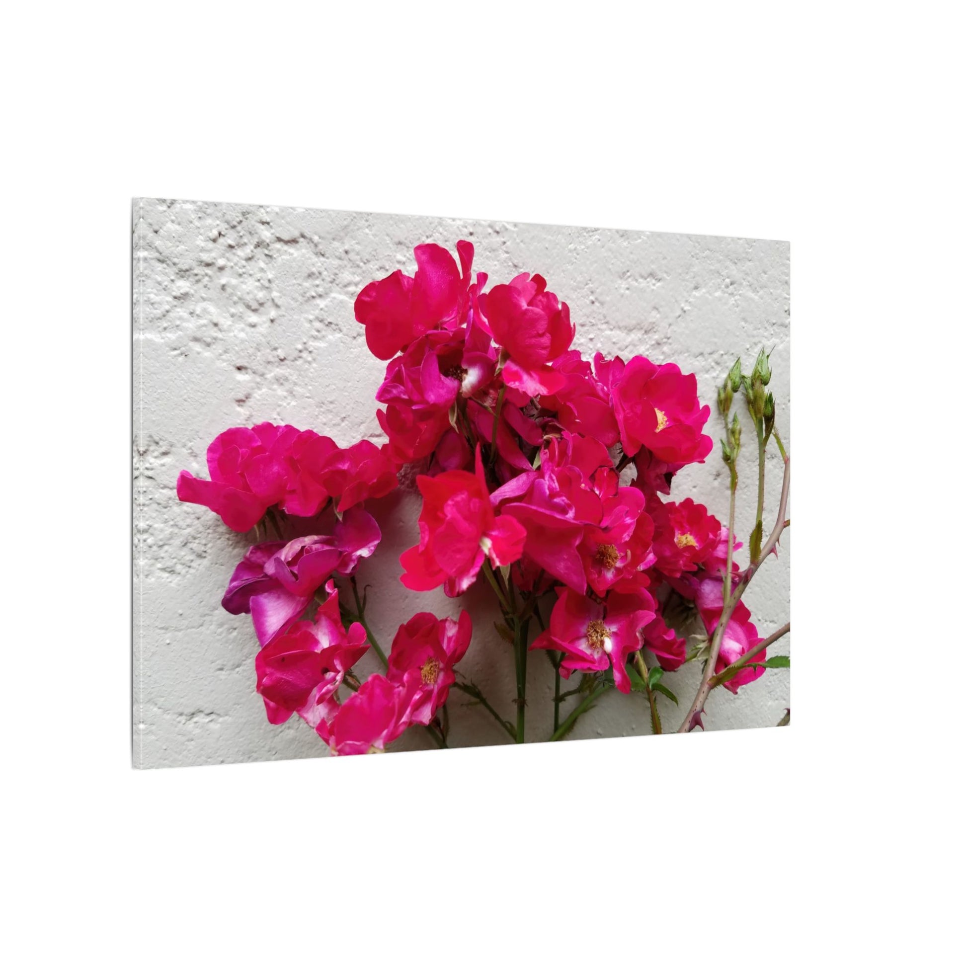 Summer floral canvas art with stucco wall contrast