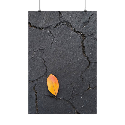 Orange Leaf Against Black Concrete Poster – Minimalist Nature Photography Wall Art