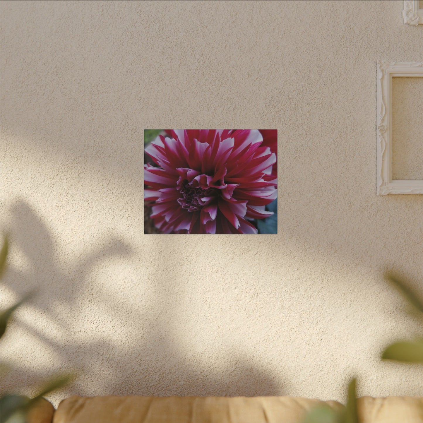 Red and White Dahlia Canvas Print – Bright Floral Nature Photography Wall Art