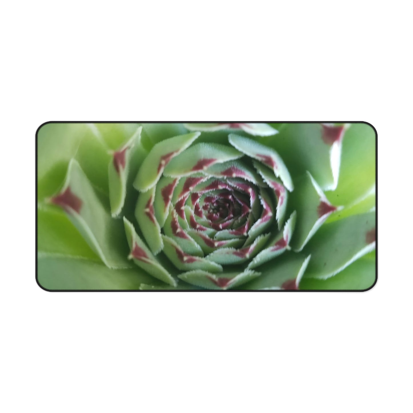 Pale Green Spiky Succulent Desk Mat – Minimalist Botanical Desk Accessory for Modern Office Decor