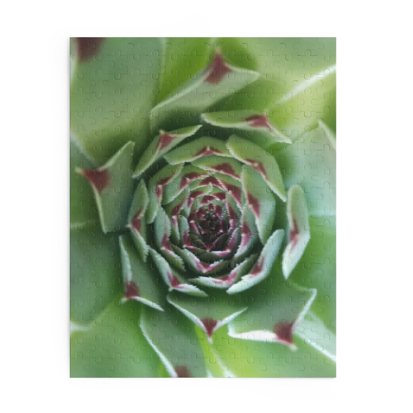 Pale Green Spiky Succulent Puzzle – Minimalist Botanical Jigsaw for Relaxing Desert-Inspired Fun