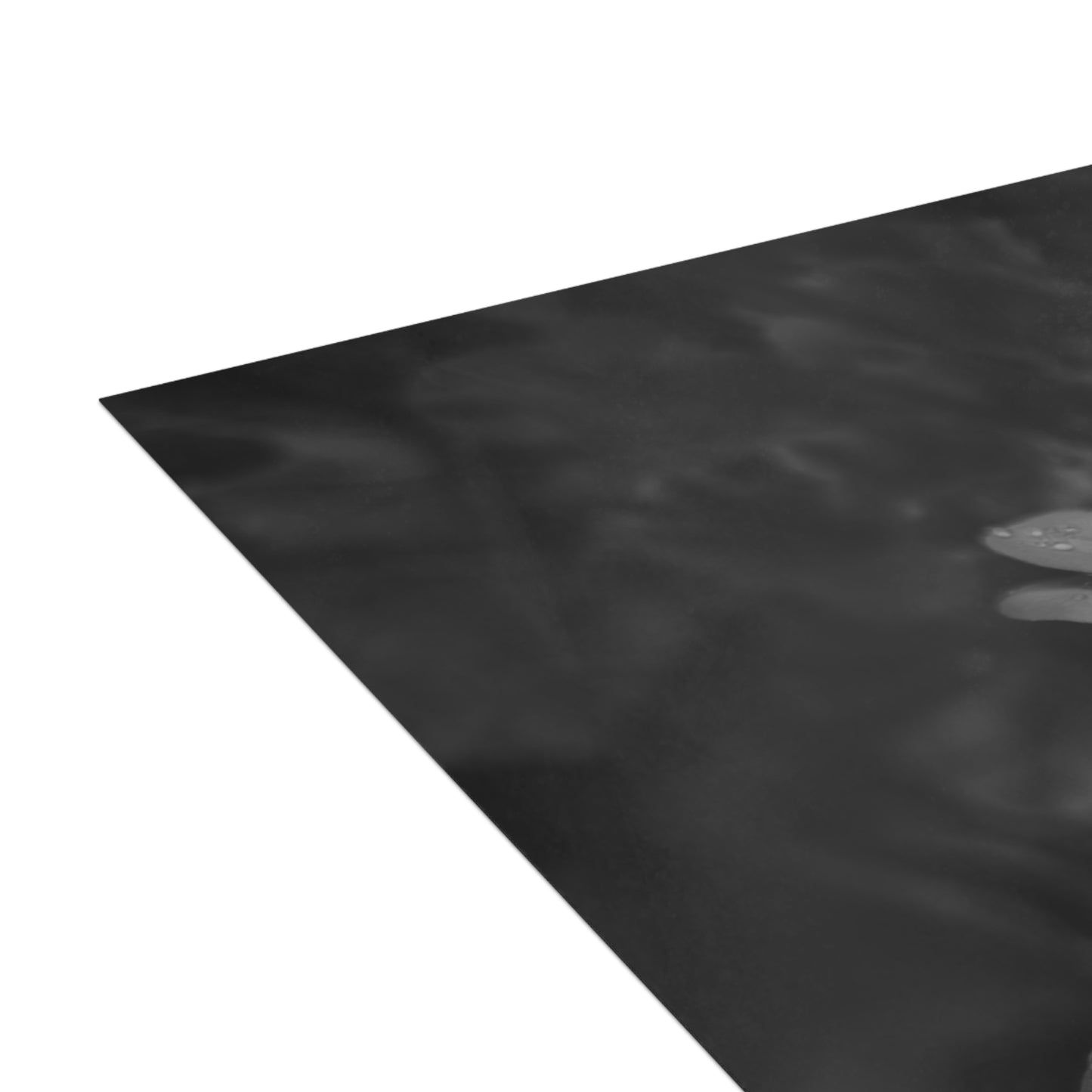 Geranium After a Light Rain Postcard – Moody Botanical Photography, Monochrome Floral Stationery for Thoughtful Correspondence