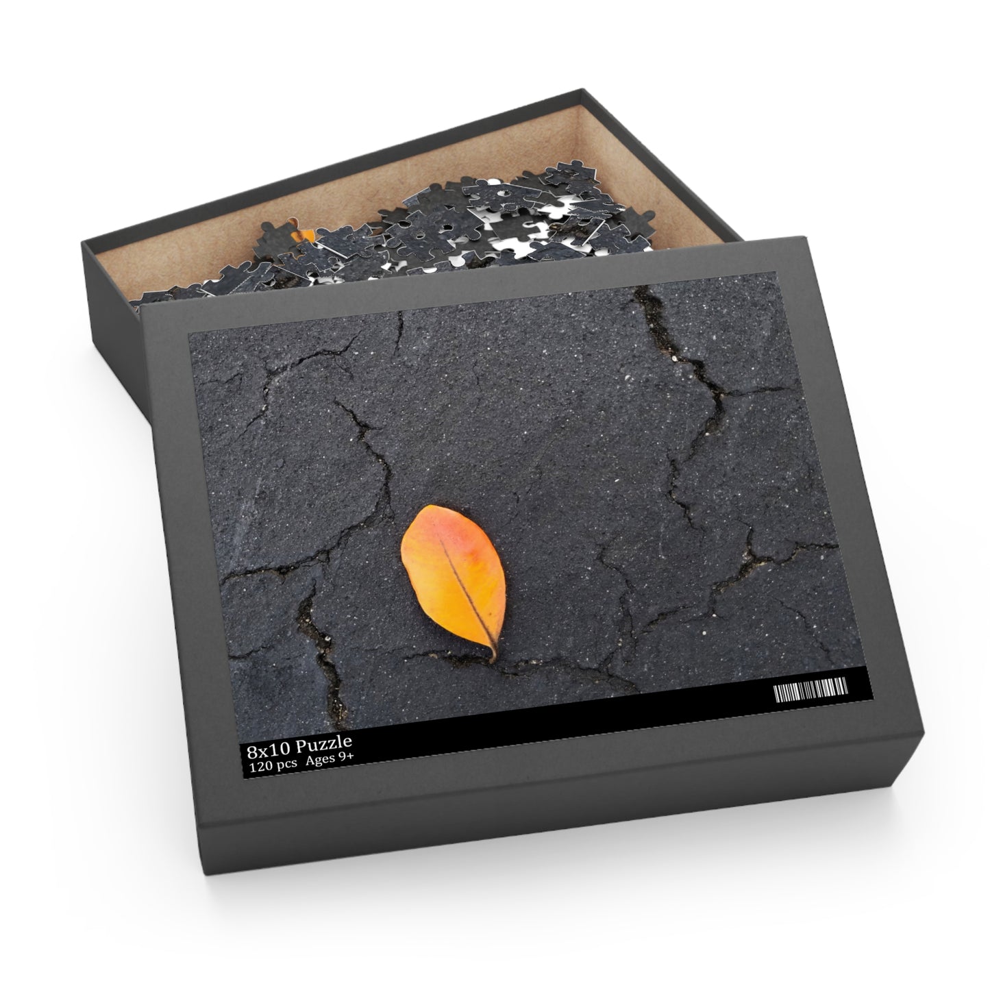 Orange Leaf on Black Concrete Puzzle – Moody Autumn Jigsaw for Minimalist Fall Decor and Nature Lovers