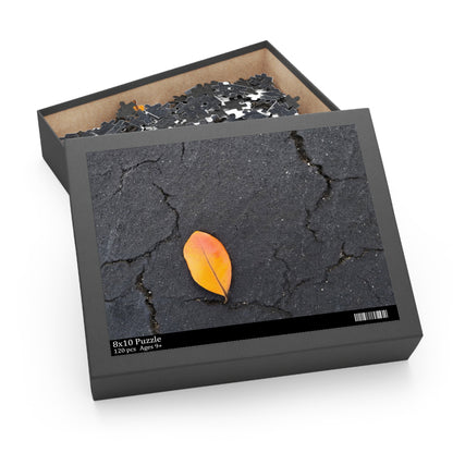 Orange Leaf on Black Concrete Puzzle – Moody Autumn Jigsaw for Minimalist Fall Decor and Nature Lovers