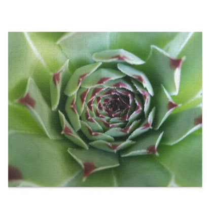 Pale Green Spiky Succulent Puzzle – Minimalist Botanical Jigsaw for Relaxing Desert-Inspired Fun