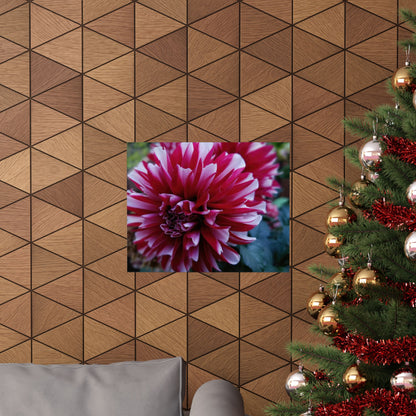 Red and White Dahlia Wall Poster – Botanical Floral Art Print, Cottagecore Summer Bloom Decor