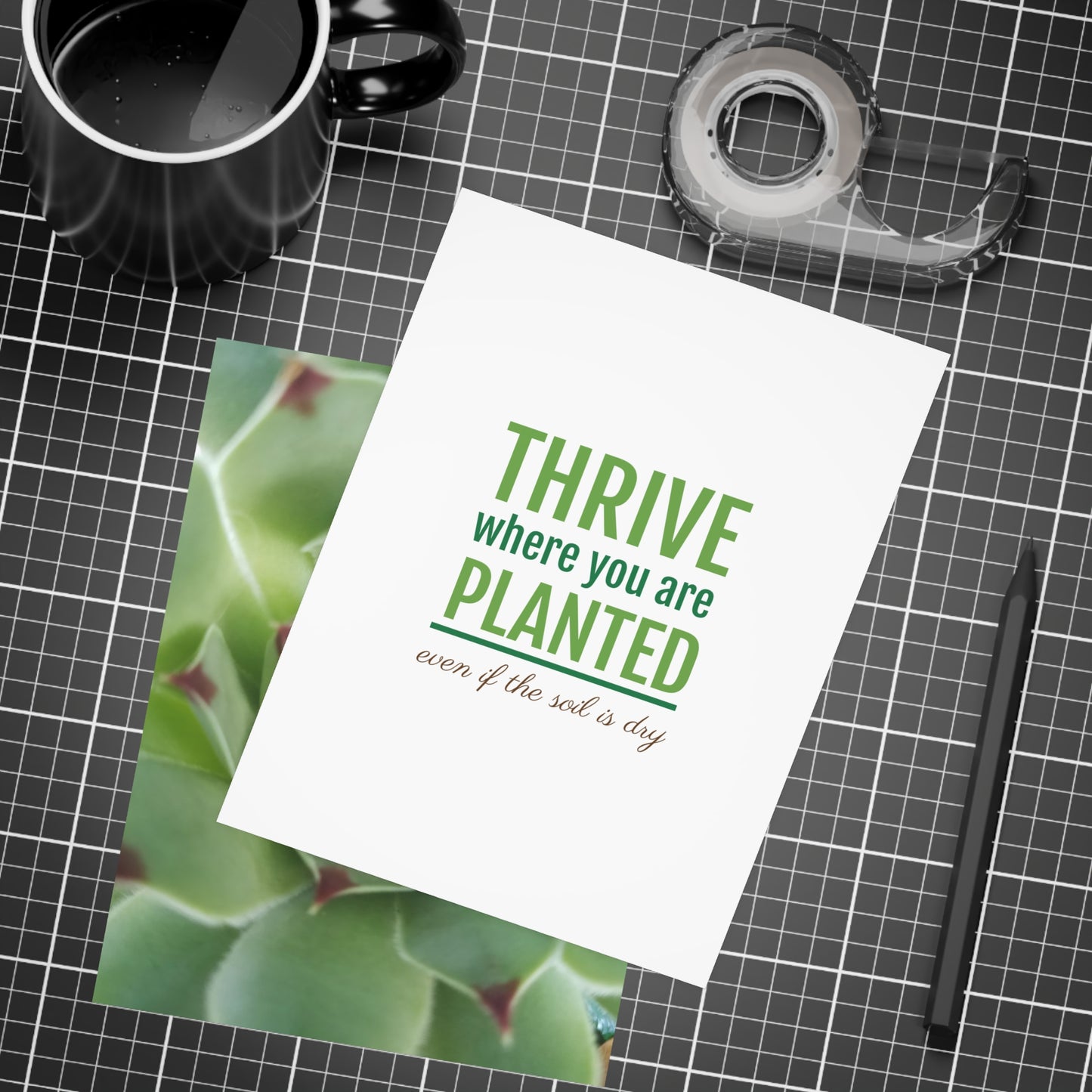Pale Green Spiky Succulent Postcard – Botanical Art Print for Calm Minimalist Correspondence and Decor