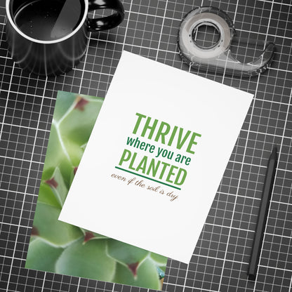 Pale Green Spiky Succulent Postcard – Botanical Art Print for Calm Minimalist Correspondence and Decor