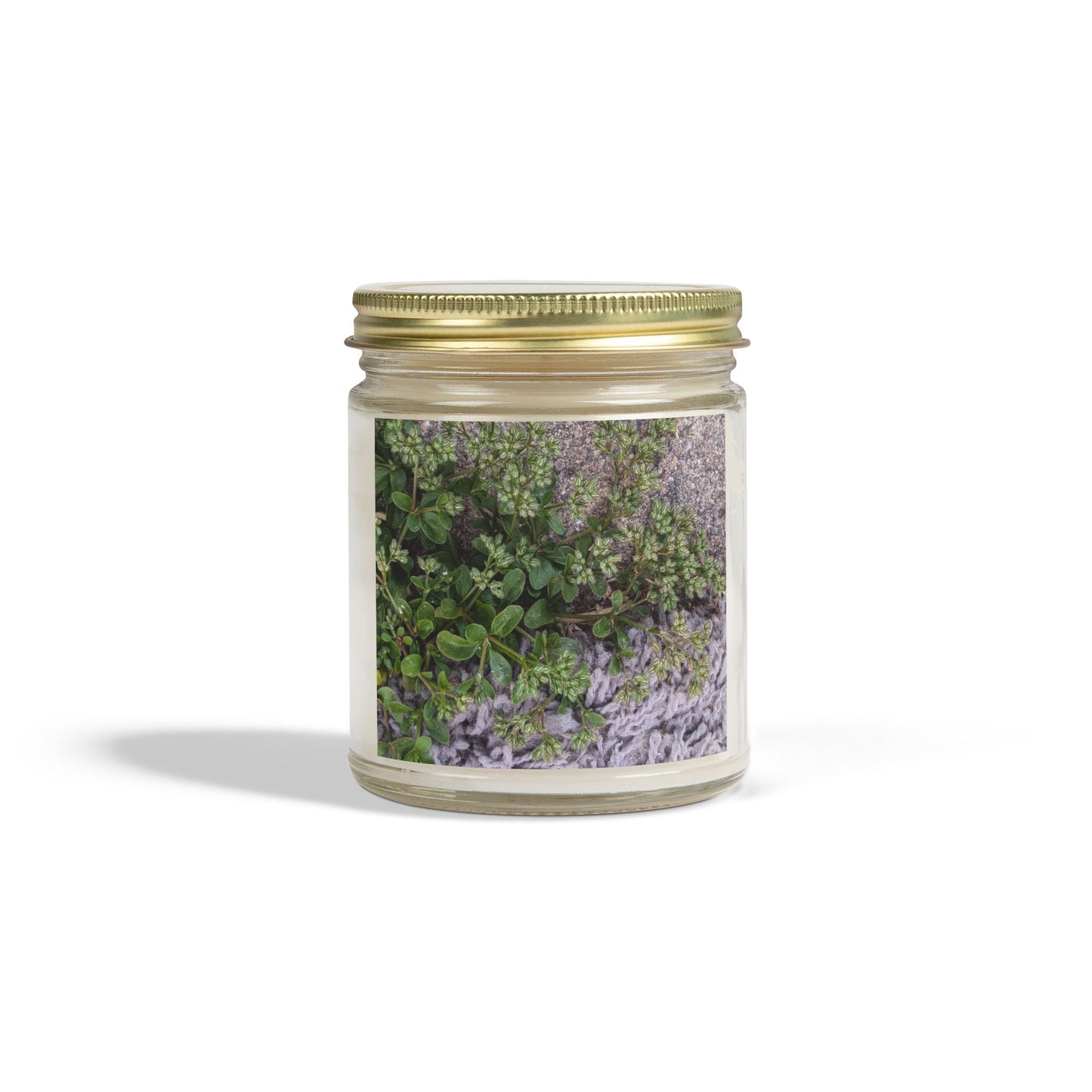 Where the Allseed Grows Jar Candle – Urban Nature Minimalist Scented Candle with Botanical Concrete Texture