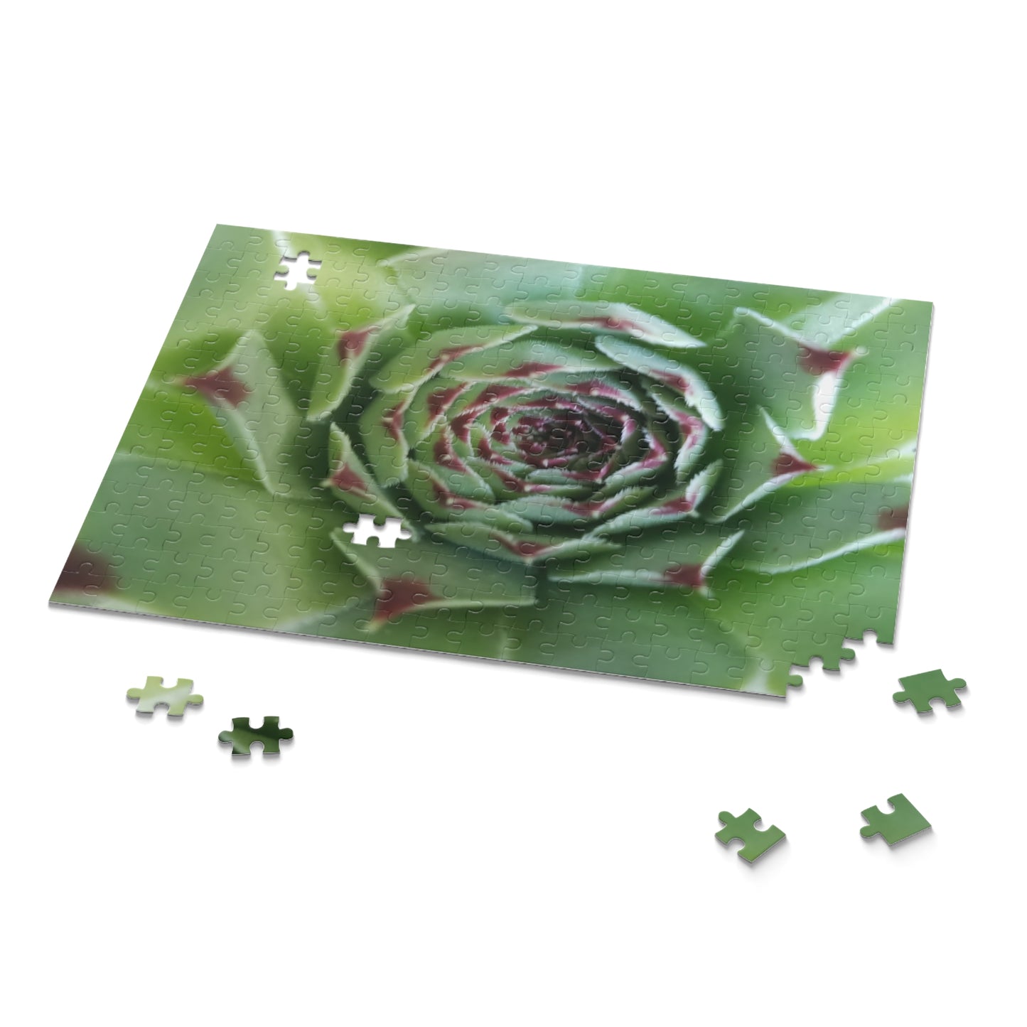 Pale Green Spiky Succulent Puzzle – Minimalist Botanical Jigsaw for Relaxing Desert-Inspired Fun