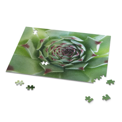 Pale Green Spiky Succulent Puzzle – Minimalist Botanical Jigsaw for Relaxing Desert-Inspired Fun