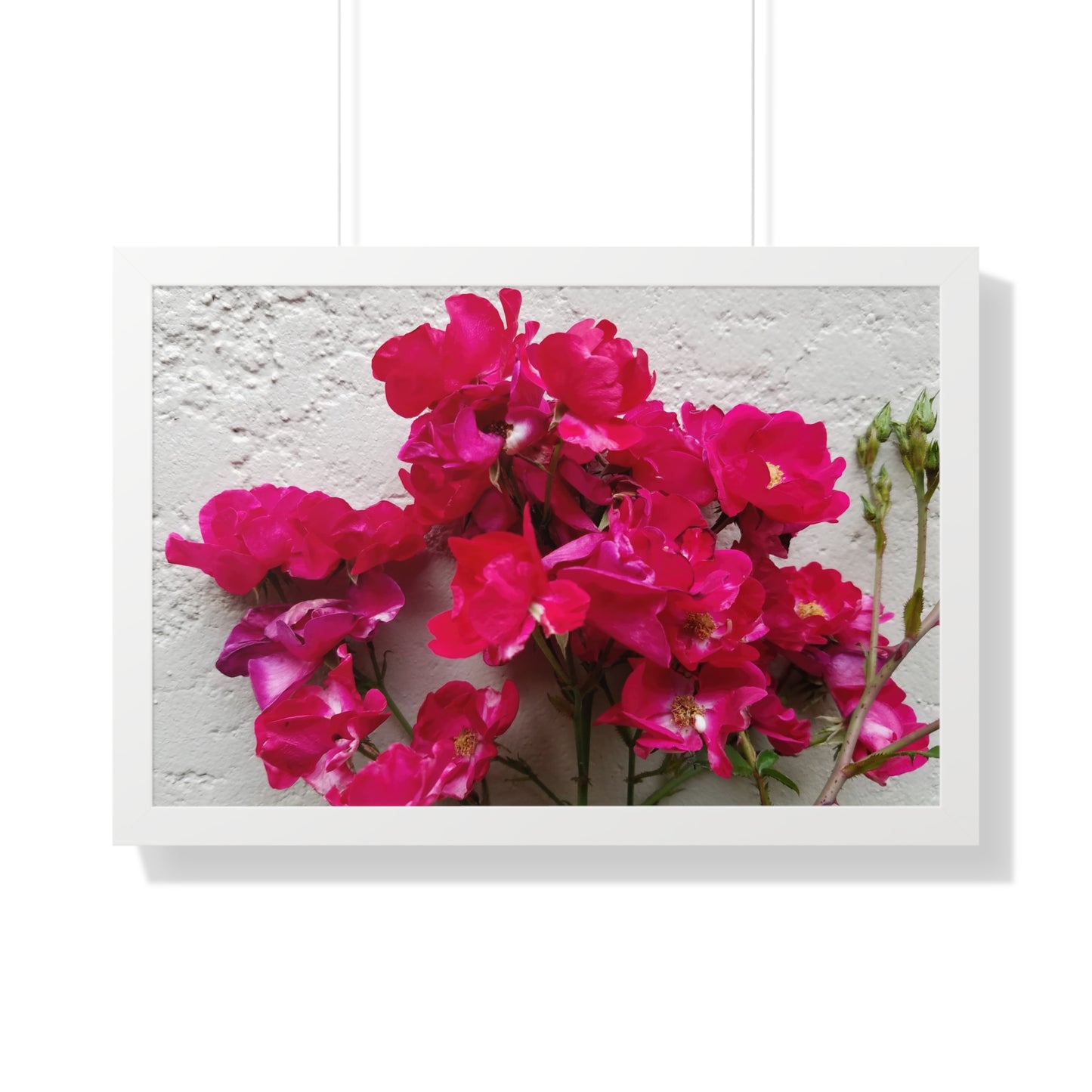 Bougainvillea Against White Stucco Wall Framed Print – Mediterranean Floral Wall Art, Summer Bloom Botanical Decor