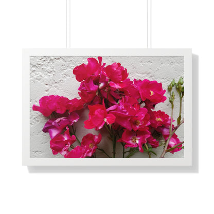 Bougainvillea Against White Stucco Wall Framed Print – Mediterranean Floral Wall Art, Summer Bloom Botanical Decor