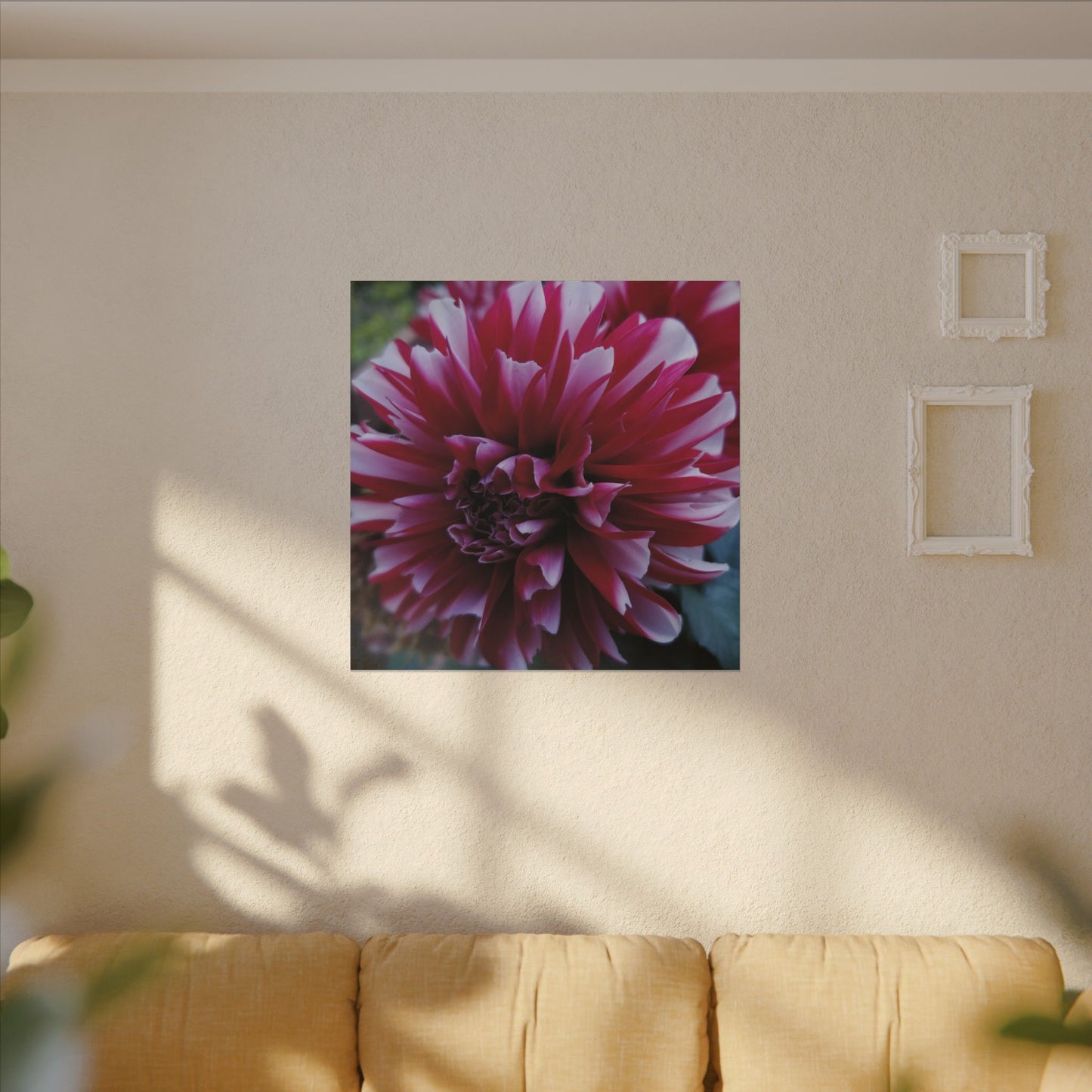 Red and White Dahlia Canvas Print – Bright Floral Nature Photography Wall Art