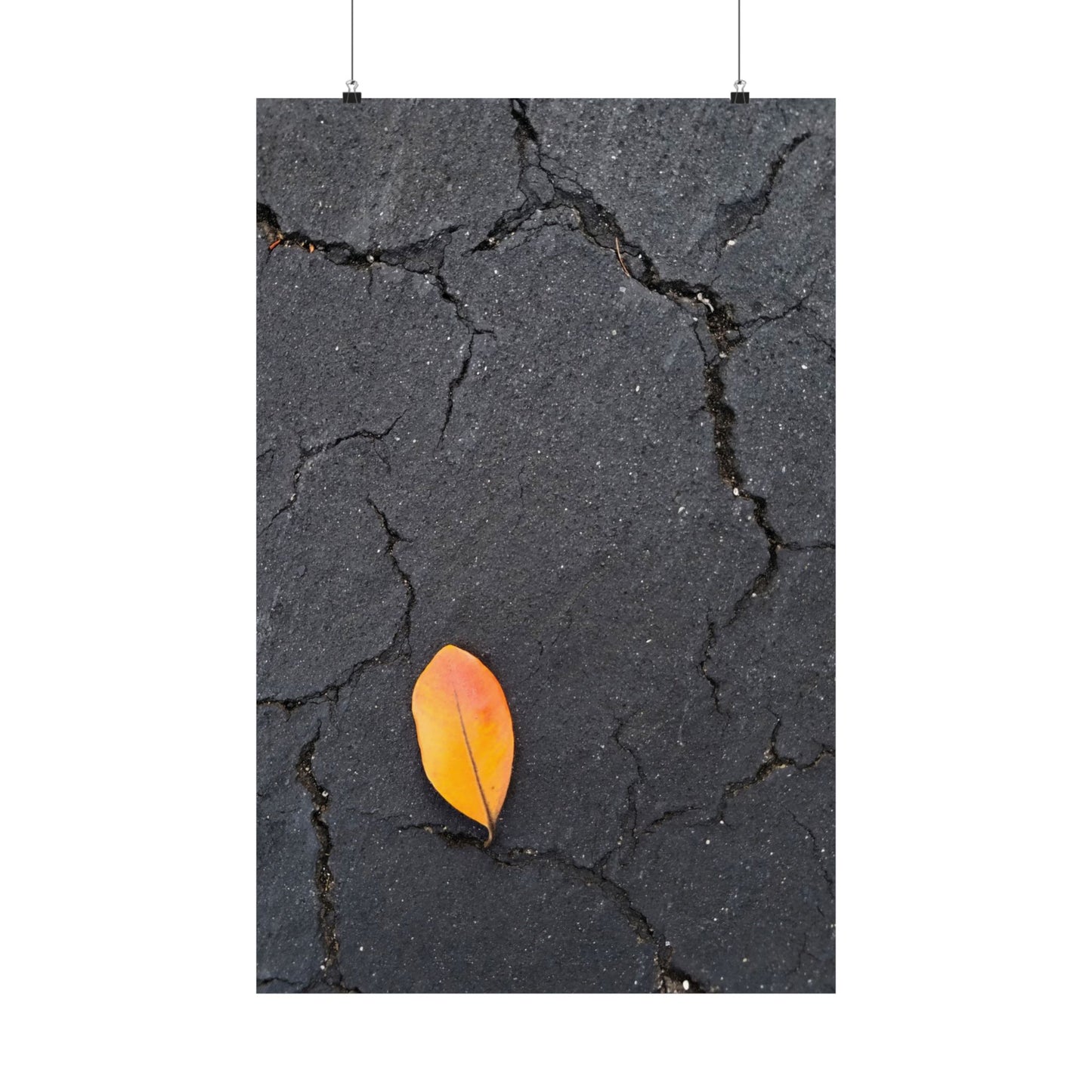 Orange Leaf Against Black Concrete Poster – Minimalist Nature Photography Wall Art