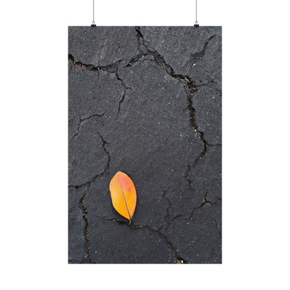 Orange Leaf Against Black Concrete Poster – Minimalist Nature Photography Wall Art