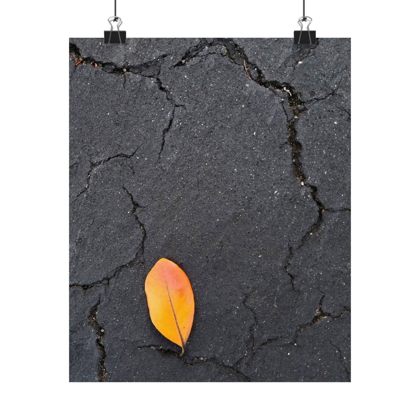 Orange Leaf Against Black Concrete Poster – Minimalist Nature Photography Wall Art