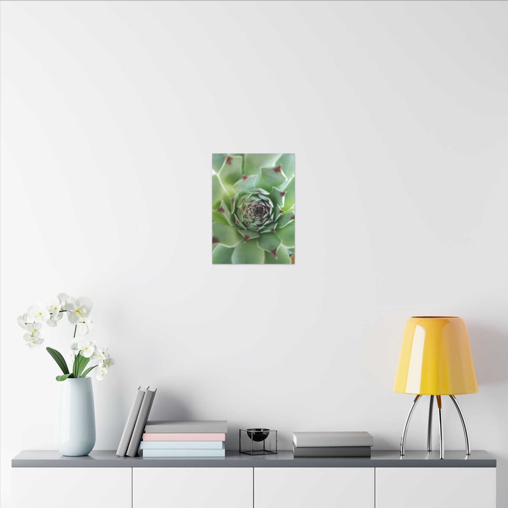 contemporary succulent wall art