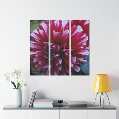 Red and White Dahlia Acrylic Triptych – Bold Floral Wall Art for Spring Inspired Modern Botanical Decor