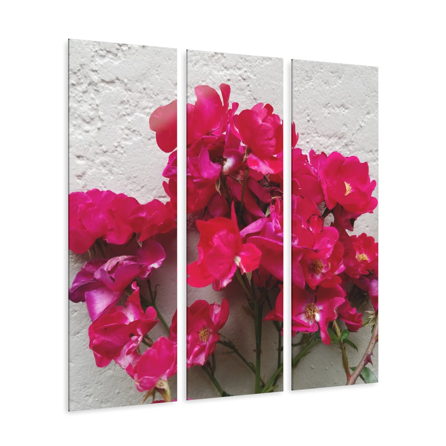 Bougainvillea Against White Stucco Wall Acrylic Triptych – Mediterranean Floral Photography Print for Bright Minimalist Decor