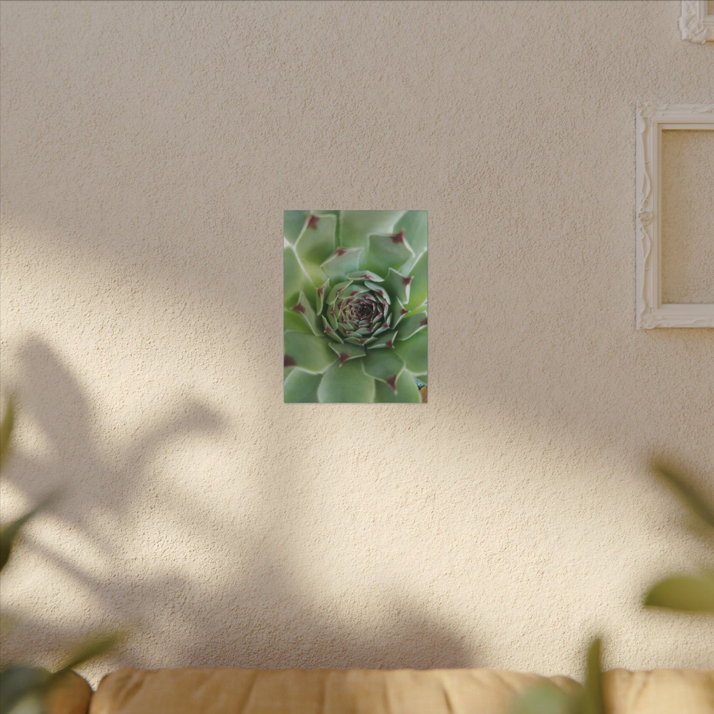 desert plant wall decor canvas