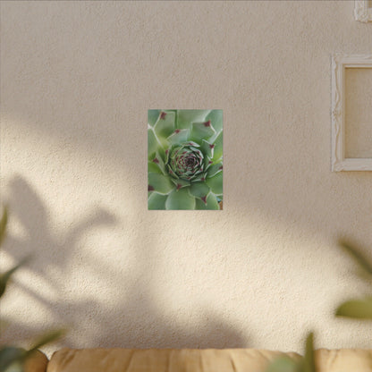 desert plant wall decor canvas