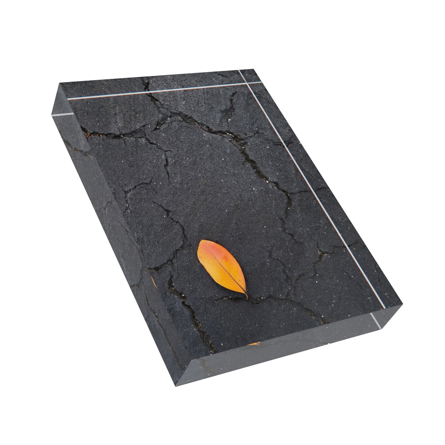 Orange Leaf on Black Concrete Acrylic Block – Minimalist Urban Autumn Wall Art Print for Modern Rustic Decor