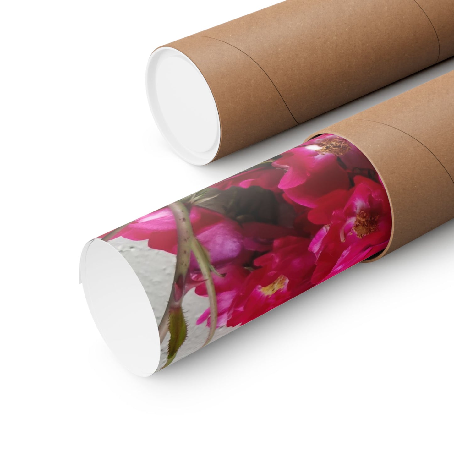 Bougainvillea Against White Stucco Wall Poster – Vibrant Floral Photography Wall Art
