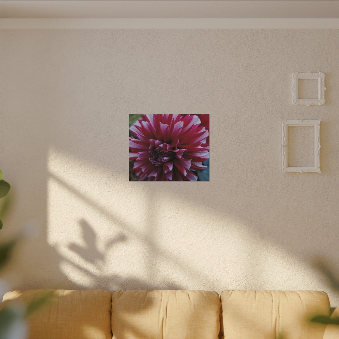 Red and White Dahlia Canvas Print – Bright Floral Nature Photography Wall Art
