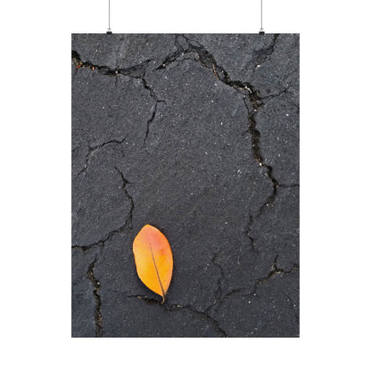 Orange Leaf Against Black Concrete Poster – Minimalist Nature Photography Wall Art