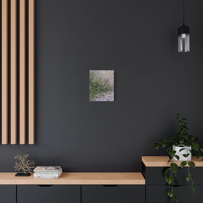 Where the Allseed Grows Canvas Print – Urban Nature Minimalist Botanical Wall Art with Concrete Texture