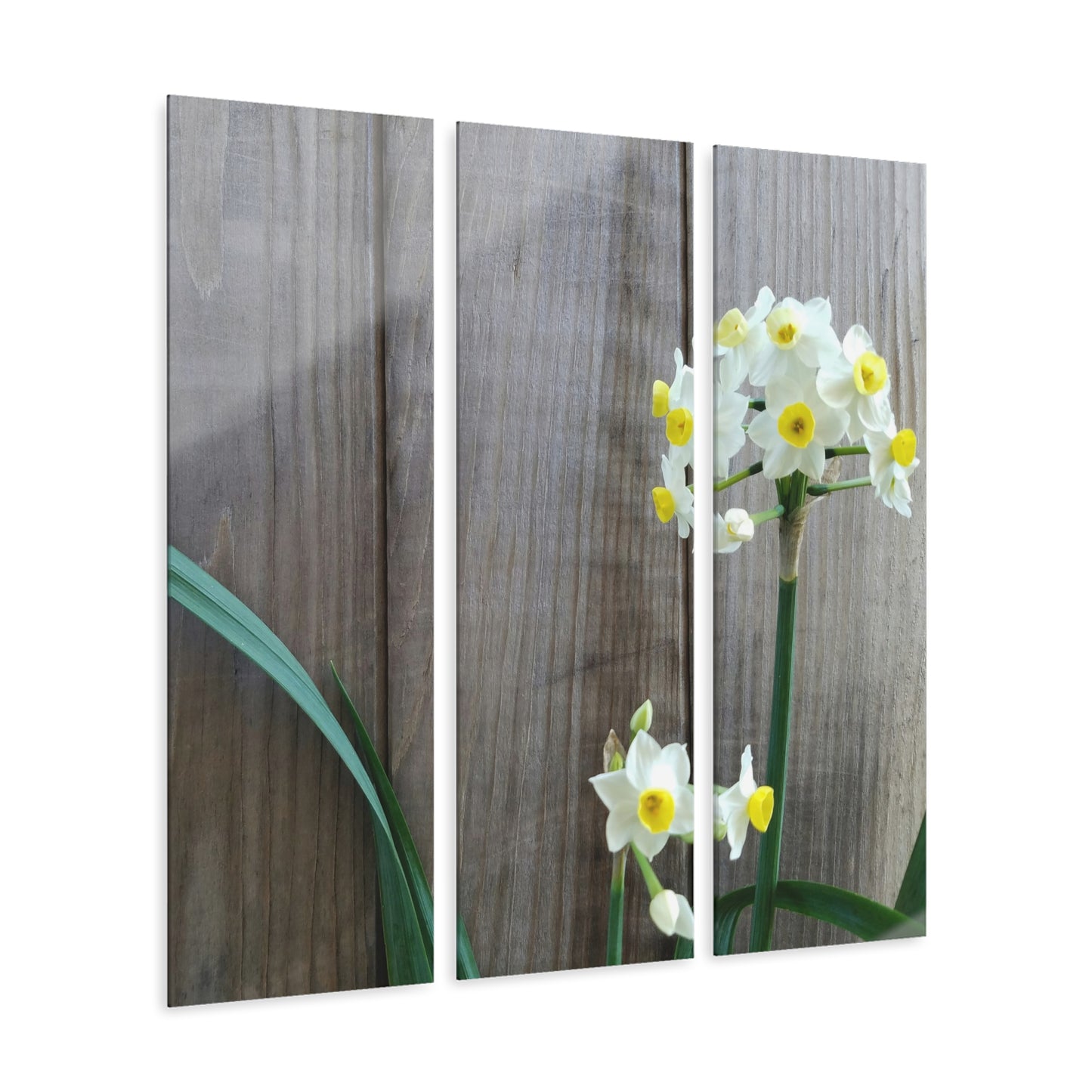 Daffodils by the Fence Acrylic Triptych – Rustic Floral Wall Art for Spring Garden Decor