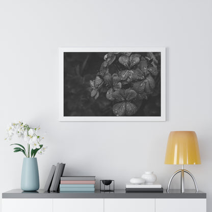 Geranium After a Light Rain Framed Print – Moody Botanical Floral Art, Monochrome Nature-Inspired Wall Decor