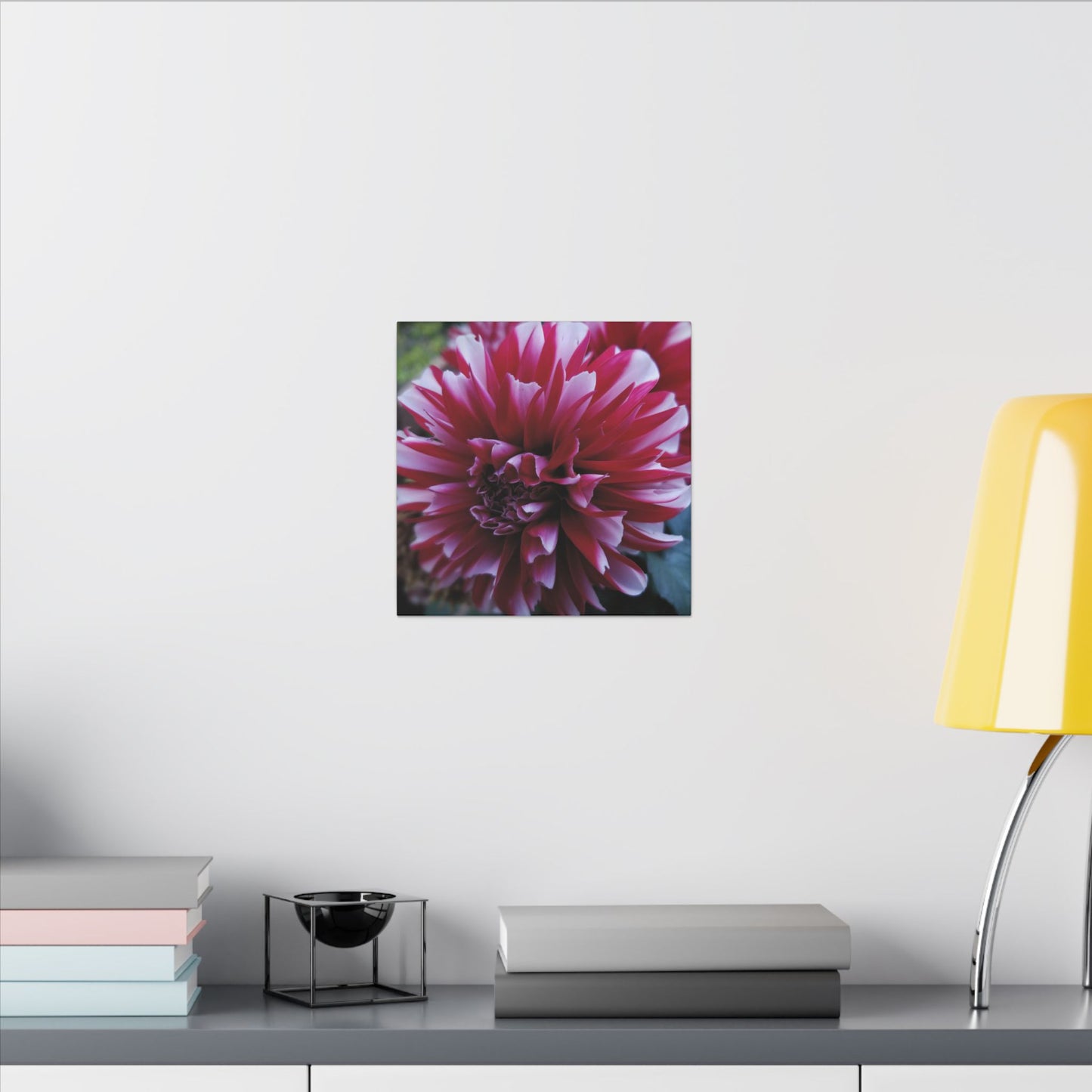 Red and White Dahlia Canvas Print – Bright Floral Nature Photography Wall Art