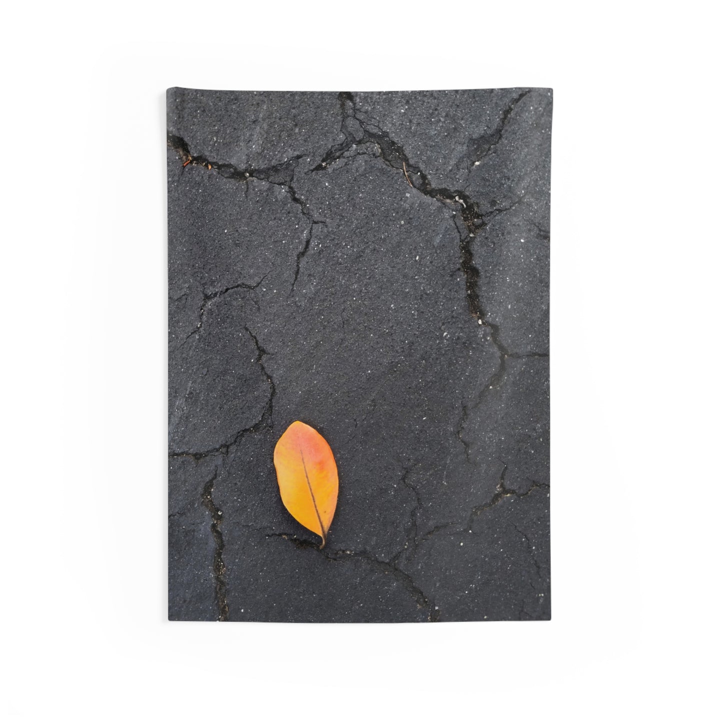 Orange Leaf Against Black Concrete Wall Tapestry – Modern Nature Photography Fabric Wall Hanging