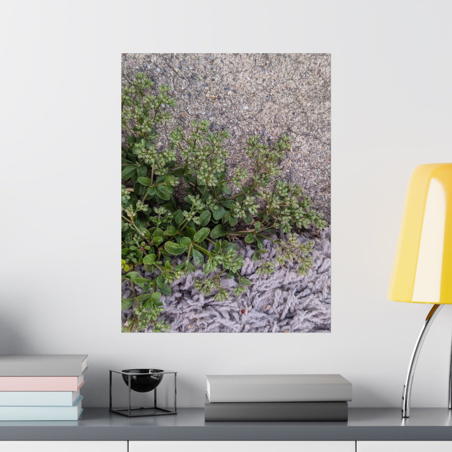Where the Allseed Grows Poster – Urban Nature Minimalist Wall Art with Concrete Texture and Botanical Contrast