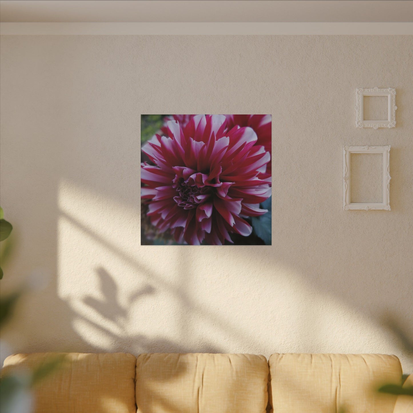 Red and White Dahlia Canvas Print – Bright Floral Nature Photography Wall Art