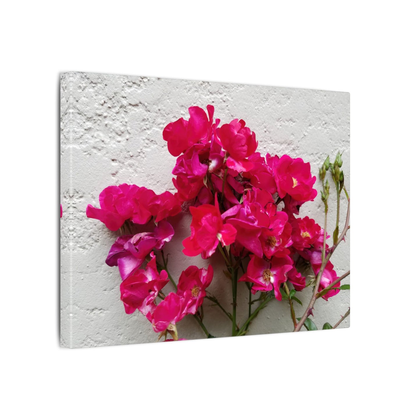 Urban botanical canvas wall art with stucco texture