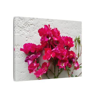 Urban botanical canvas wall art with stucco texture