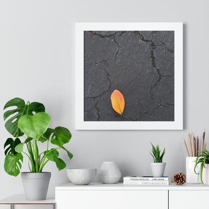 Orange Leaf on Black Concrete Framed Print – Minimalist Autumn Wall Art for Urban and Modern Rustic Decor