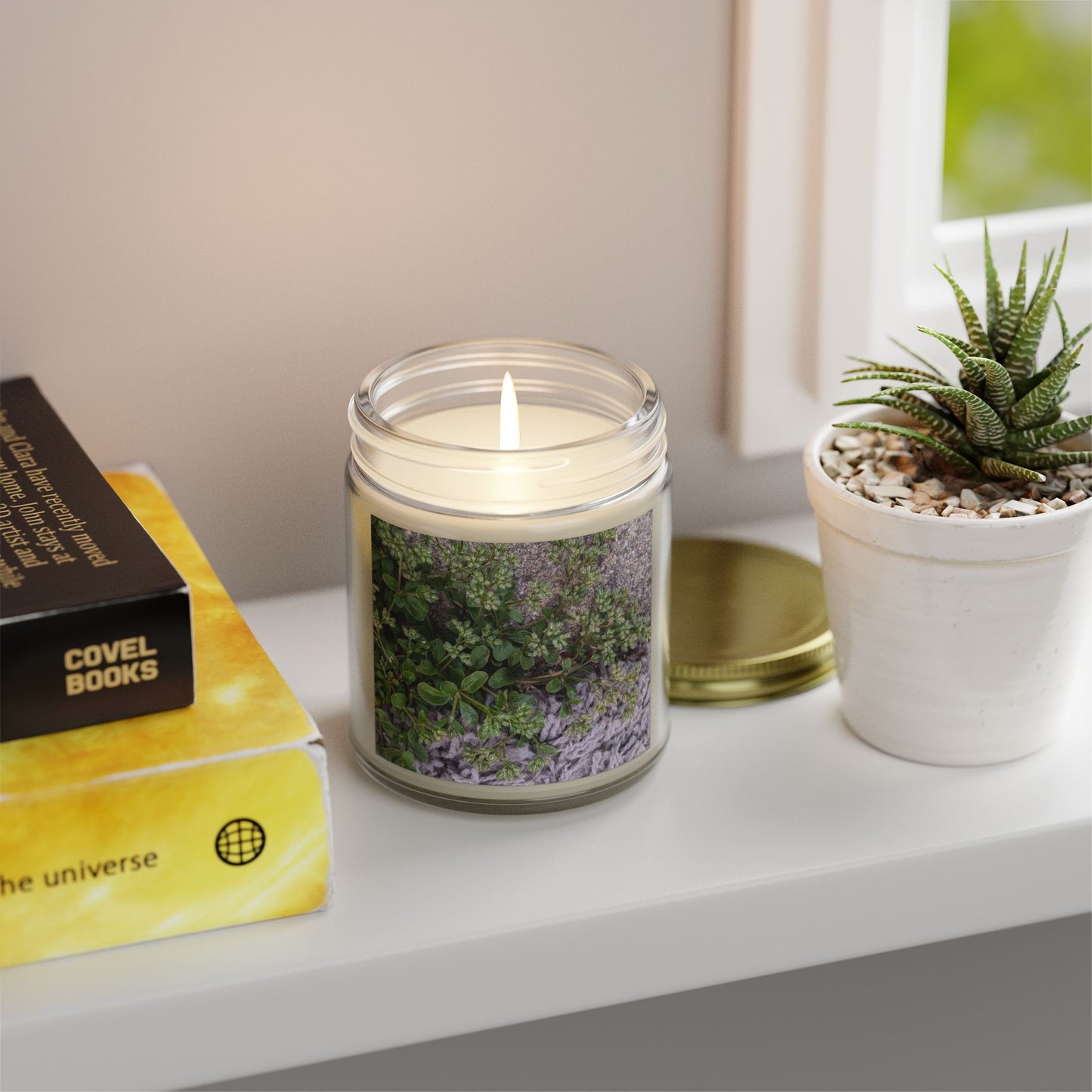 Where the Allseed Grows Jar Candle – Urban Nature Minimalist Scented Candle with Botanical Concrete Texture