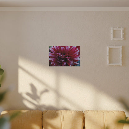 Red and White Dahlia Canvas Print – Bright Floral Nature Photography Wall Art