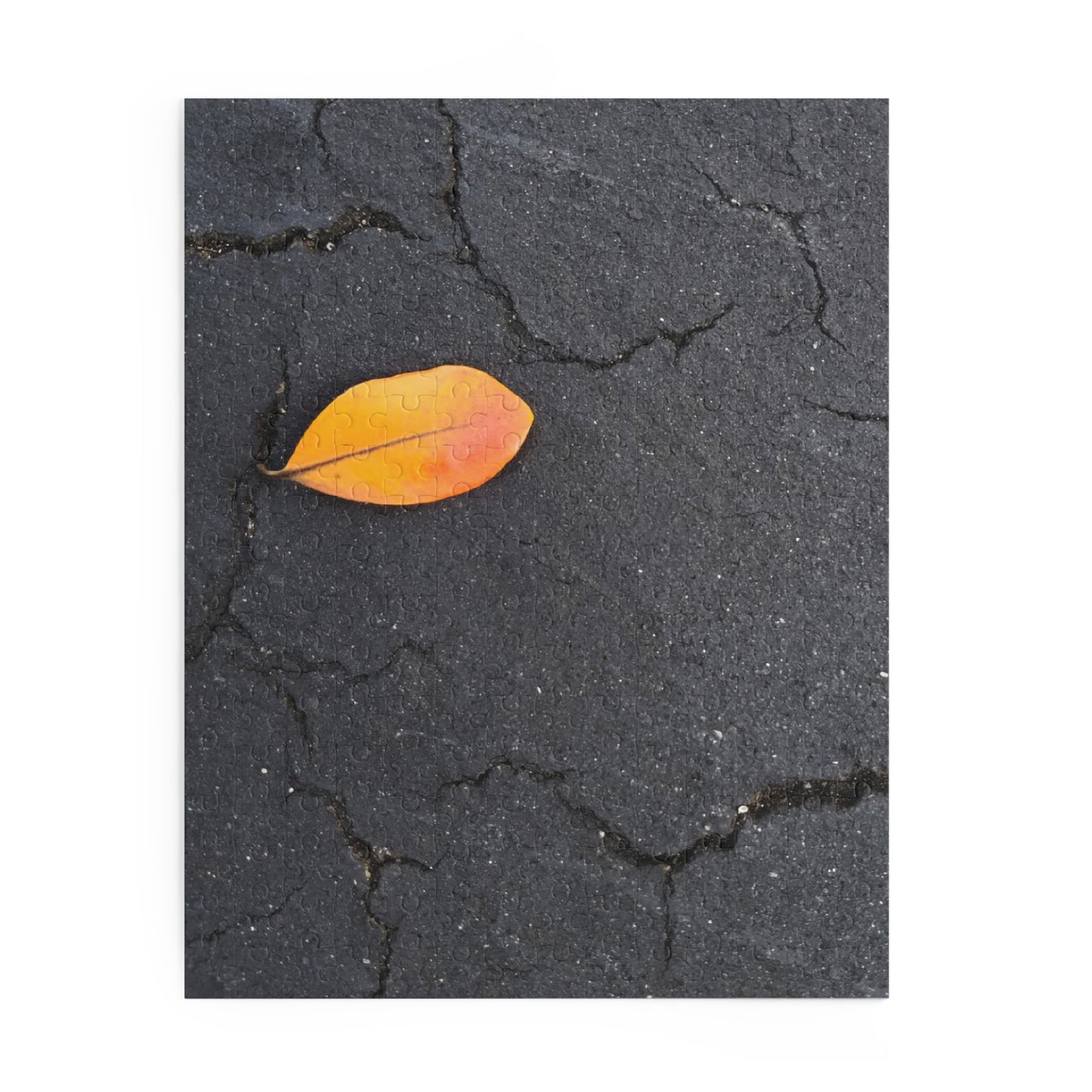 Orange Leaf on Black Concrete Puzzle – Moody Autumn Jigsaw for Minimalist Fall Decor and Nature Lovers