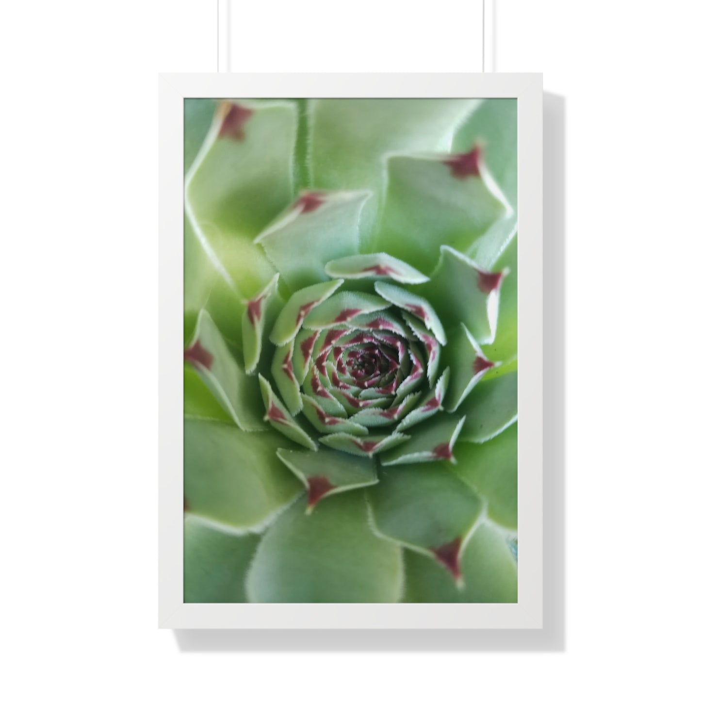 Pale Green Spiky Succulent Framed Print – Minimalist Botanical Wall Art for Desert-Inspired Interiors